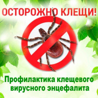 О работе «горячей линии» по профилактике КВЭ. О работе «горячей линии» по профилактике КВЭ.