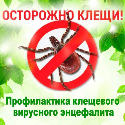 О работе «горячей линии» по профилактике КВЭ. О работе «горячей линии» по профилактике КВЭ.